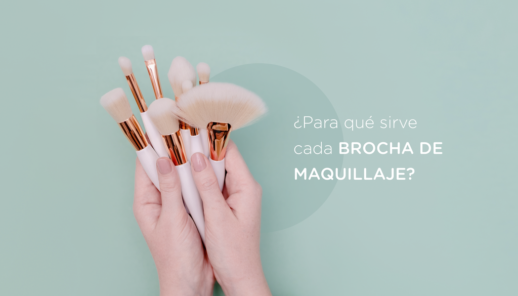 Para qué sirve cada Brocha de Maquillaje?