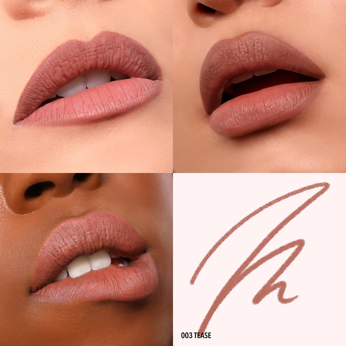 DELINEADOR PARA LABIOS LIP APPEAL PLUMPING - MOIRA