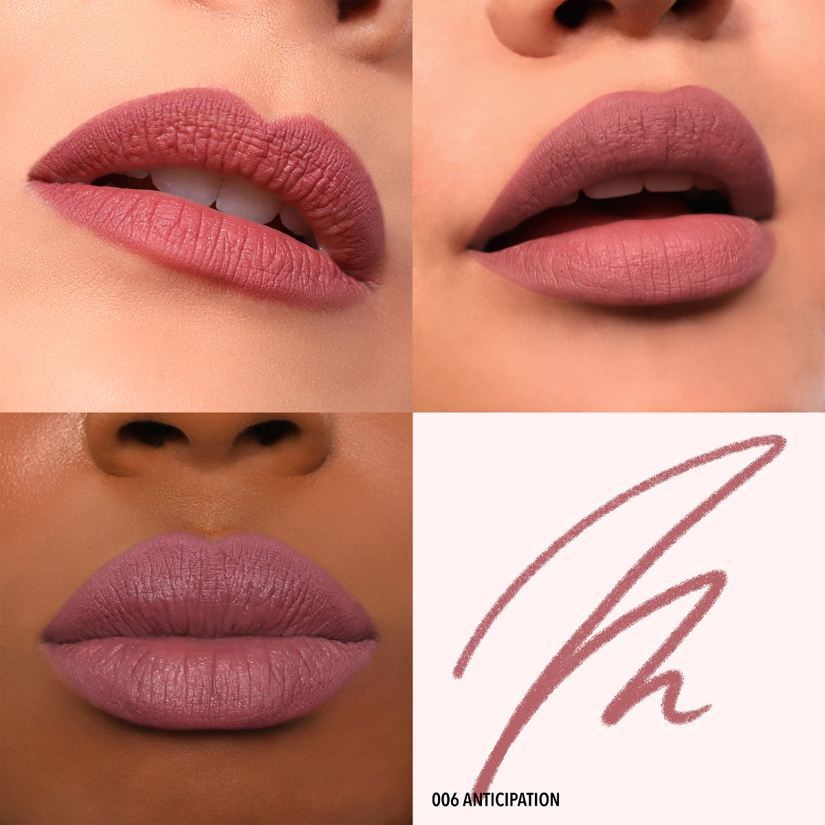 DELINEADOR PARA LABIOS LIP APPEAL PLUMPING - MOIRA