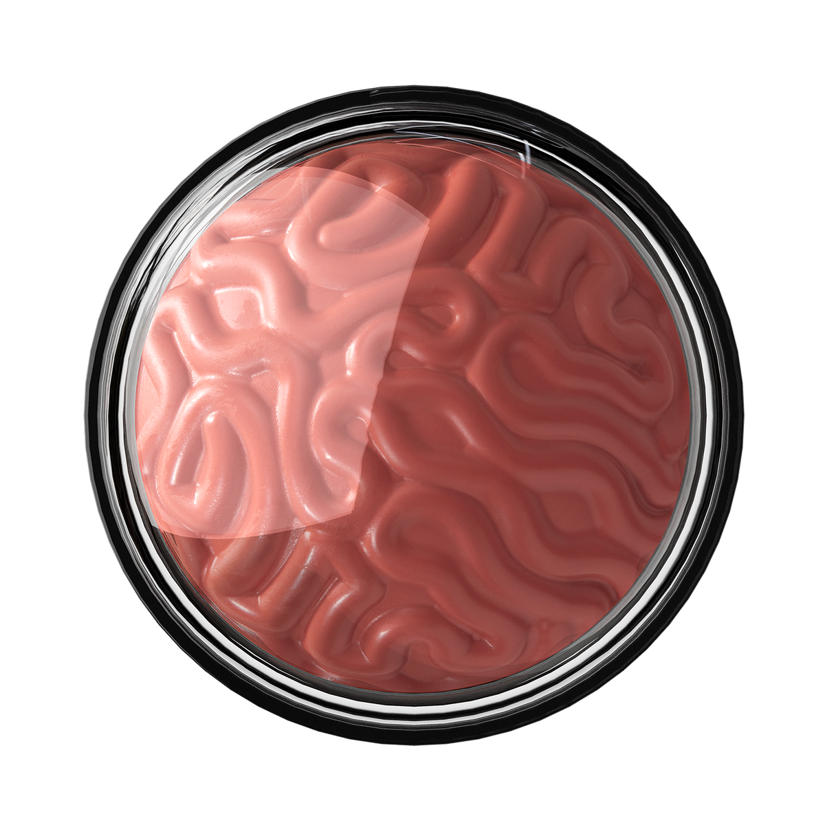 RUBOR BLOOD BLUSH PICK MY BRAIN FANTASY MAKERS - WET N WILD