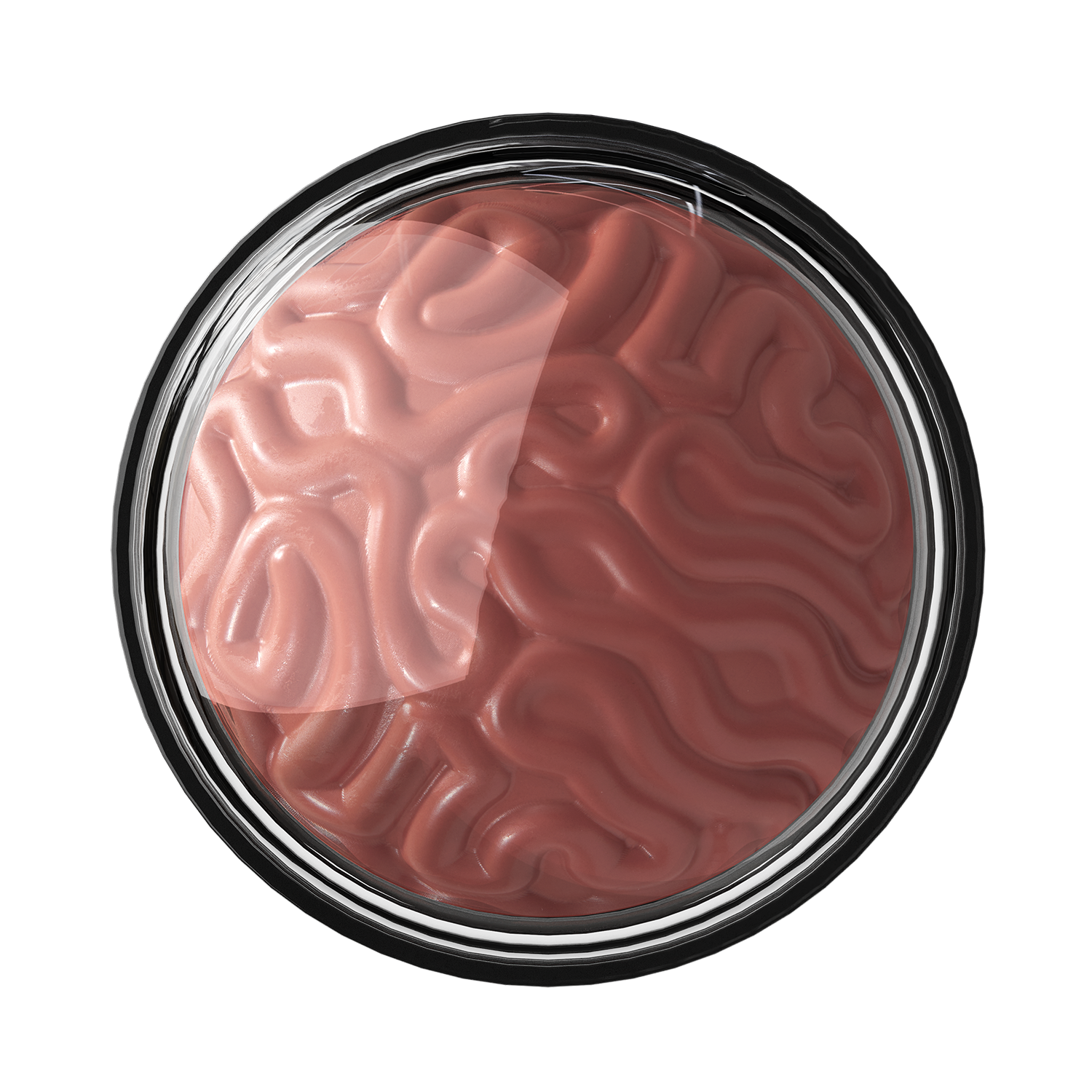 RUBOR BLOOD BLUSH PICK MY BRAIN FANTASY MAKERS - WET N WILD