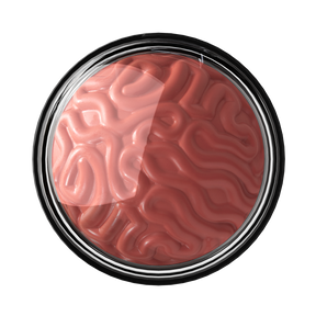 RUBOR BLOOD BLUSH PICK MY BRAIN FANTASY MAKERS - WET N WILD