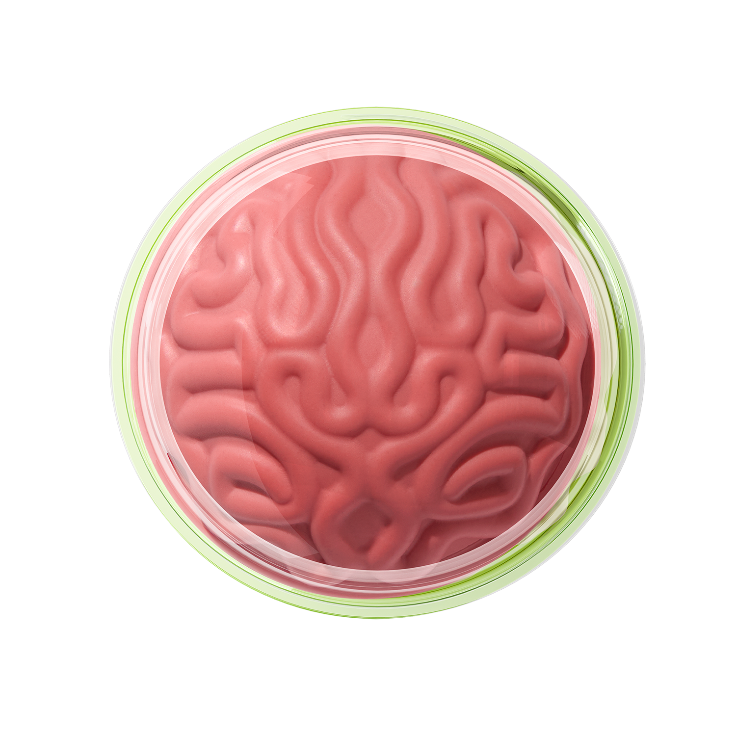 BLUSH EN CREMA PICK MY BRAIN FANTASY MAKERS - WET N WILD