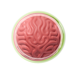 BLUSH EN CREMA PICK MY BRAIN FANTASY MAKERS - WET N WILD