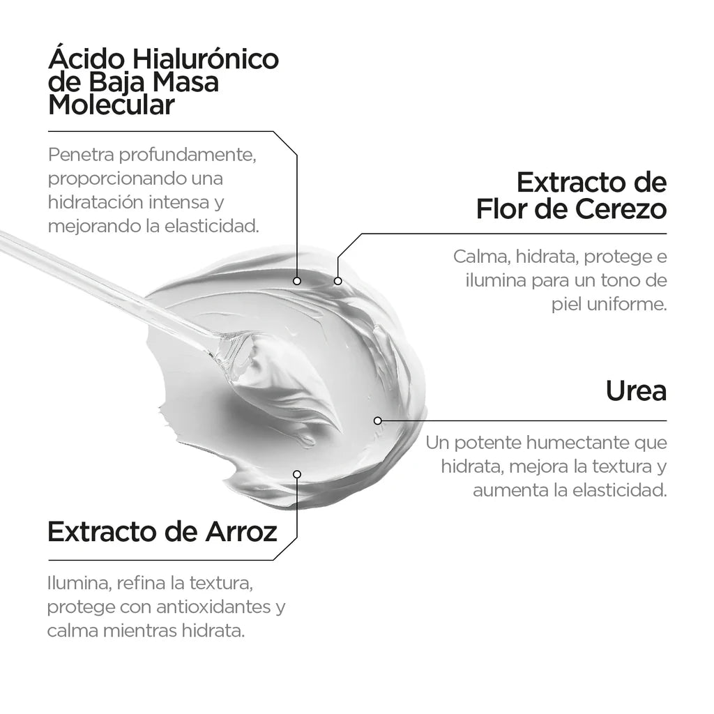 HIDRATANTE FACIAL RUTINA JAPONESA - REVOX B77