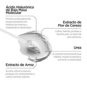 HIDRATANTE FACIAL RUTINA JAPONESA - REVOX B77