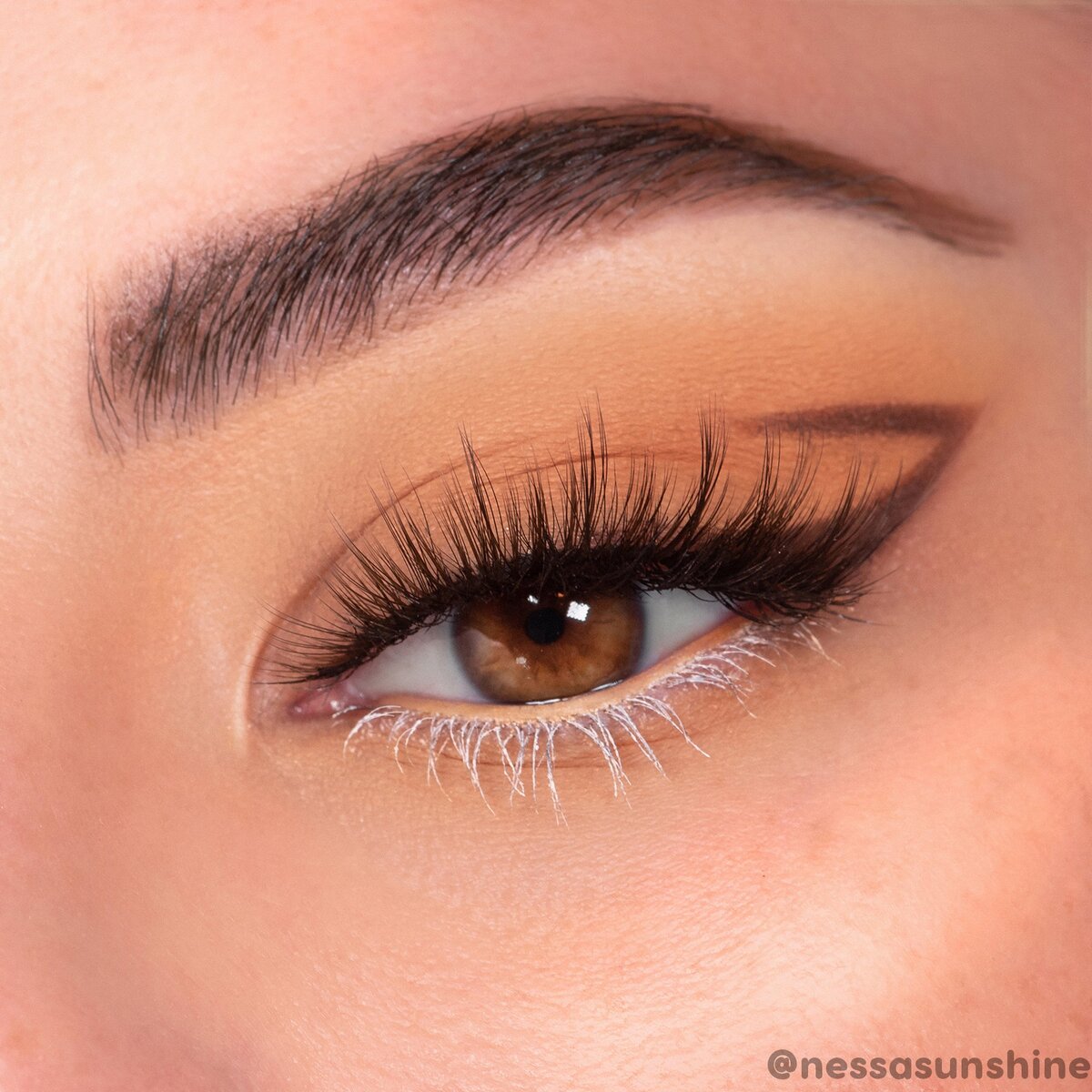 BAMBI SHADOW PALETTE - COLOUR POP