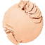 PHOTO FOCUS POLVO COMPACTO - WET N WILD